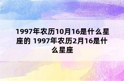 1997年农历10月16是什么星座的 1997年农历2月16是什么星座